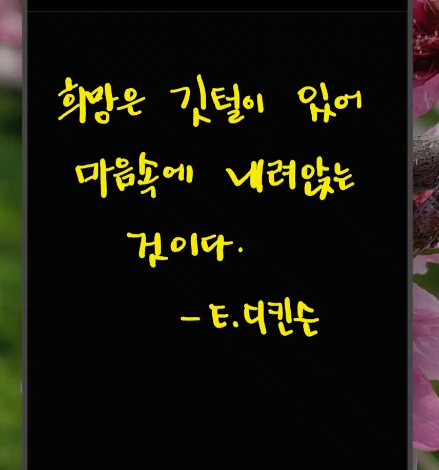 명언필사