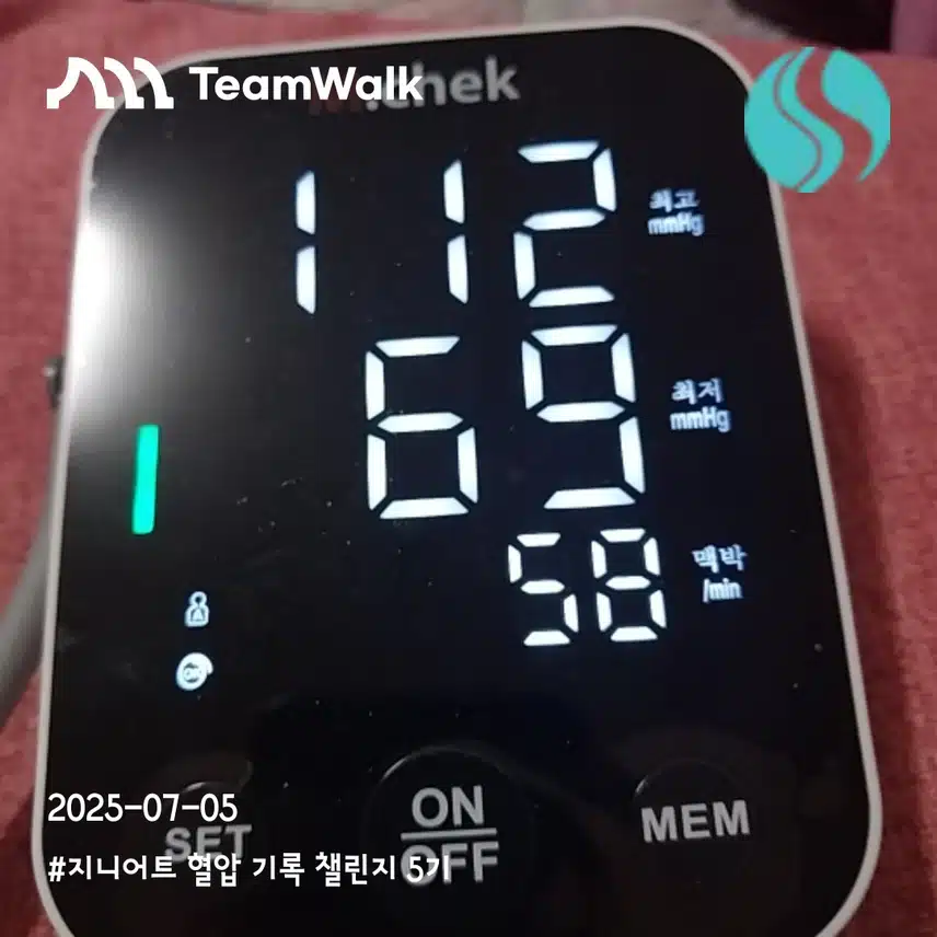 13일차 