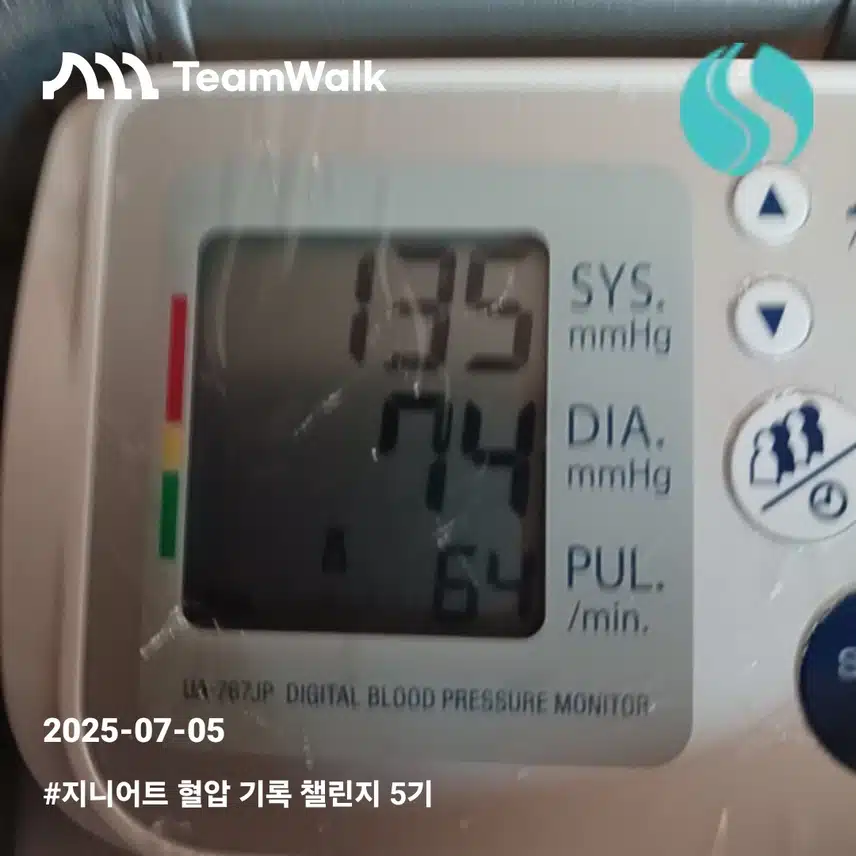 혈압13일차인증