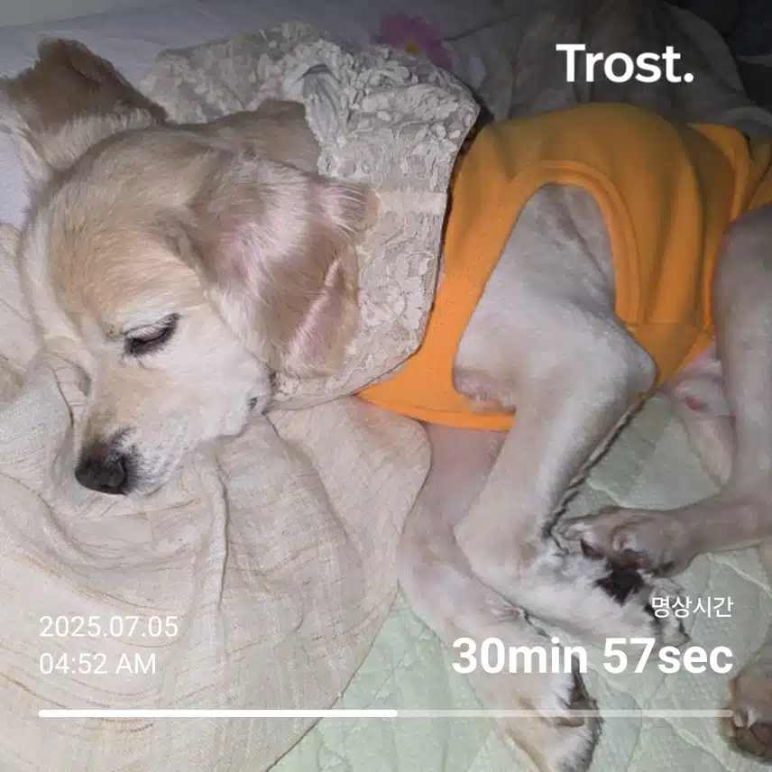 토요일 아침 