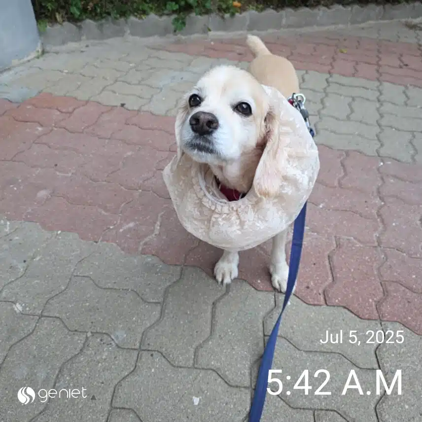 토요일 아침 