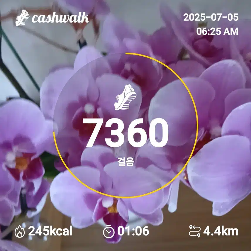 행복
