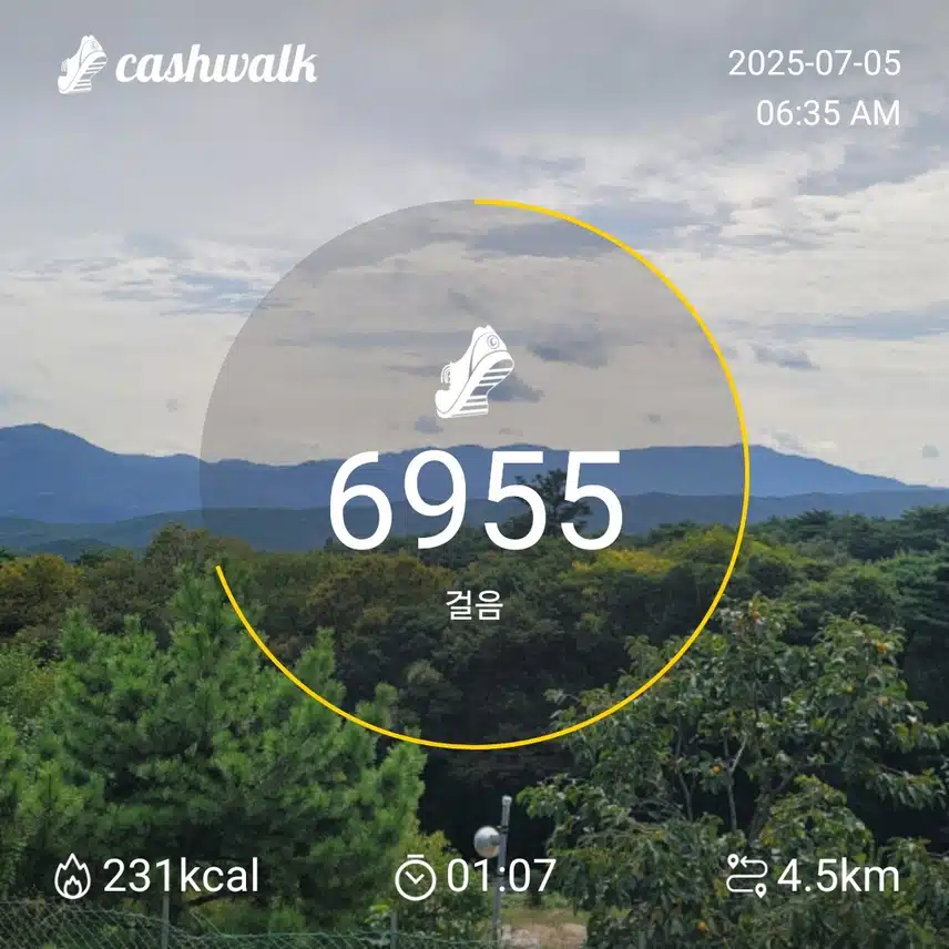 인증 