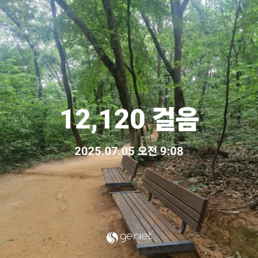 아침 산책