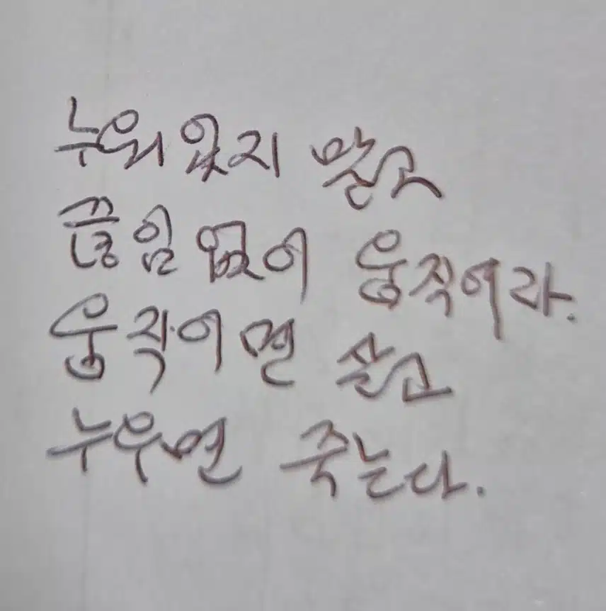 인증