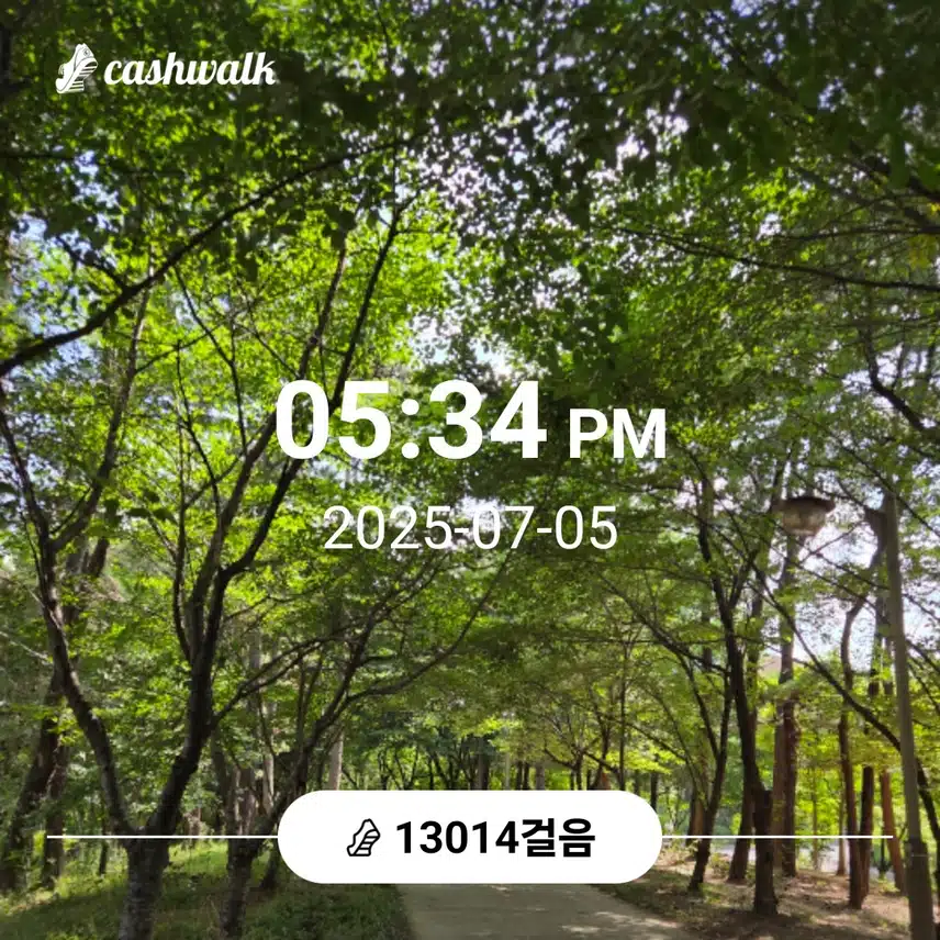 만삼천보 걸었어요 