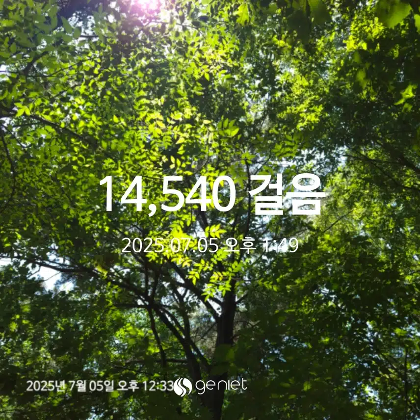 토요일 만보걷기!