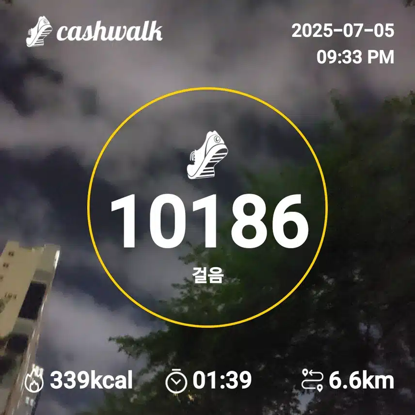 인증