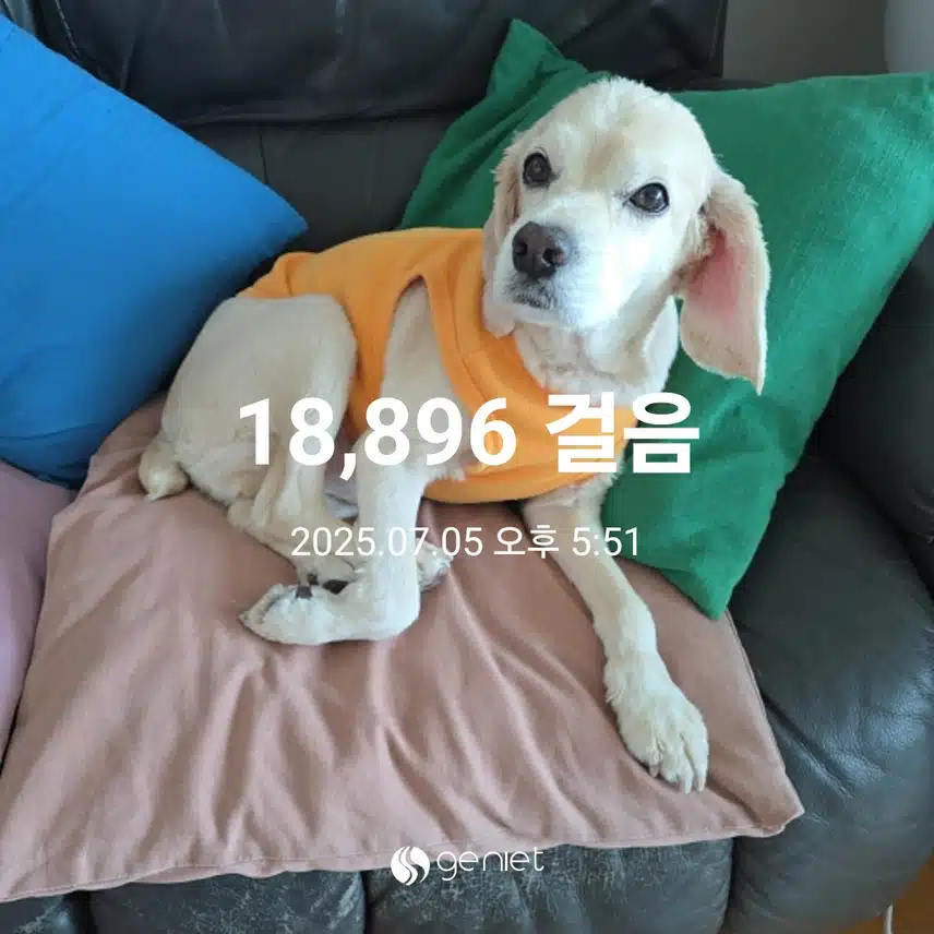 토요일 마무리 