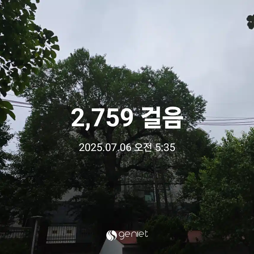 일요일 아침 