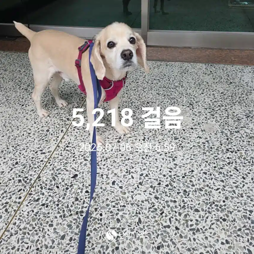 일요일 아침 