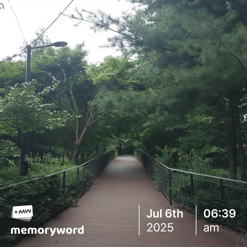 호젓한 산책길 좋네요.