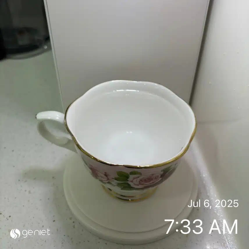 공복물