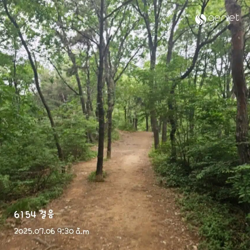 아침 산책