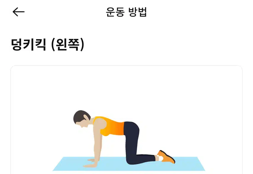 캐시홈트 운동 했어요 
