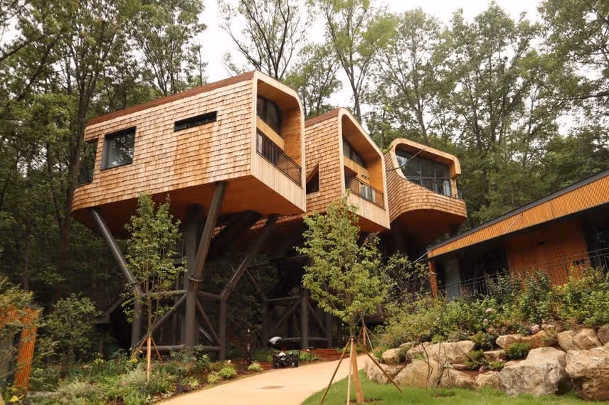 Treetop relaxation and gourmet cuisine in the heart of Seoul 