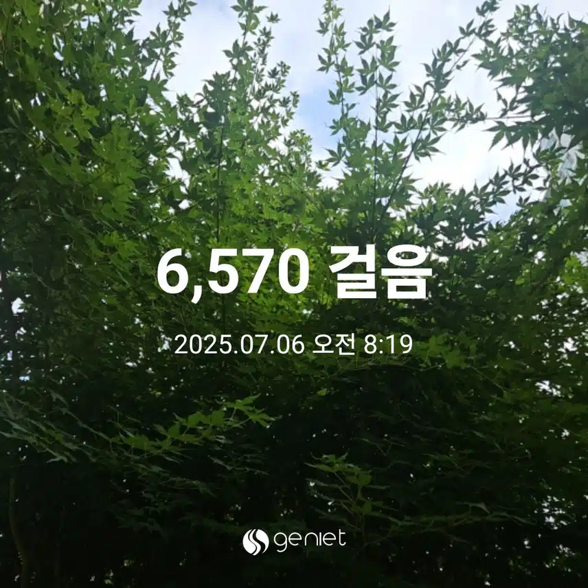 아침 식후 산책길 따라 🏃