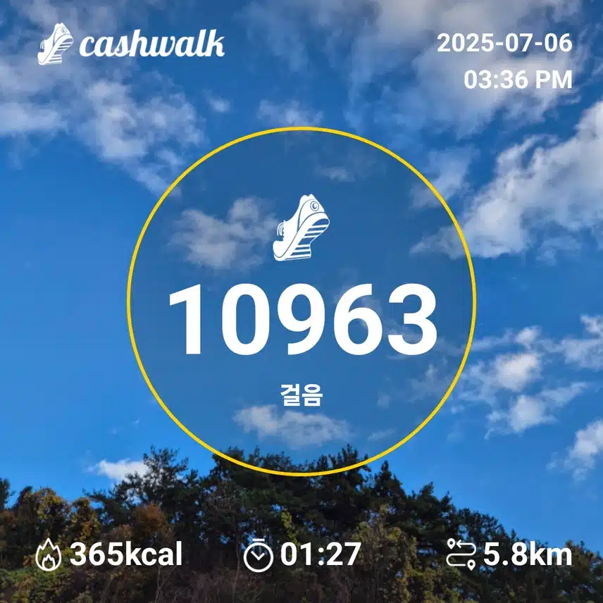만보인증