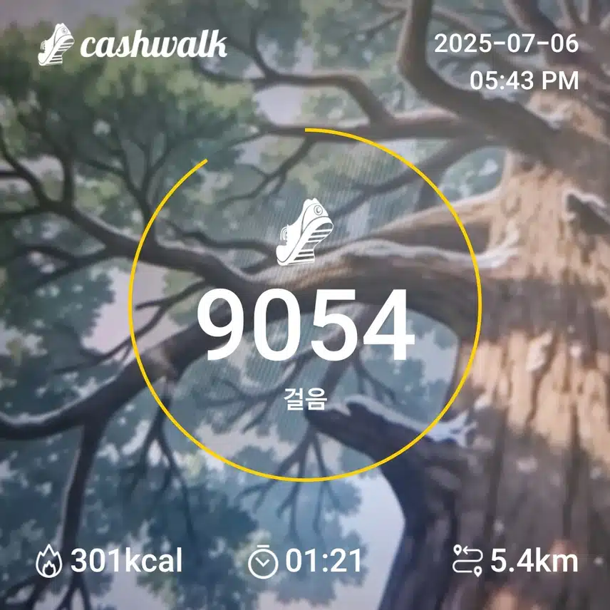 인증