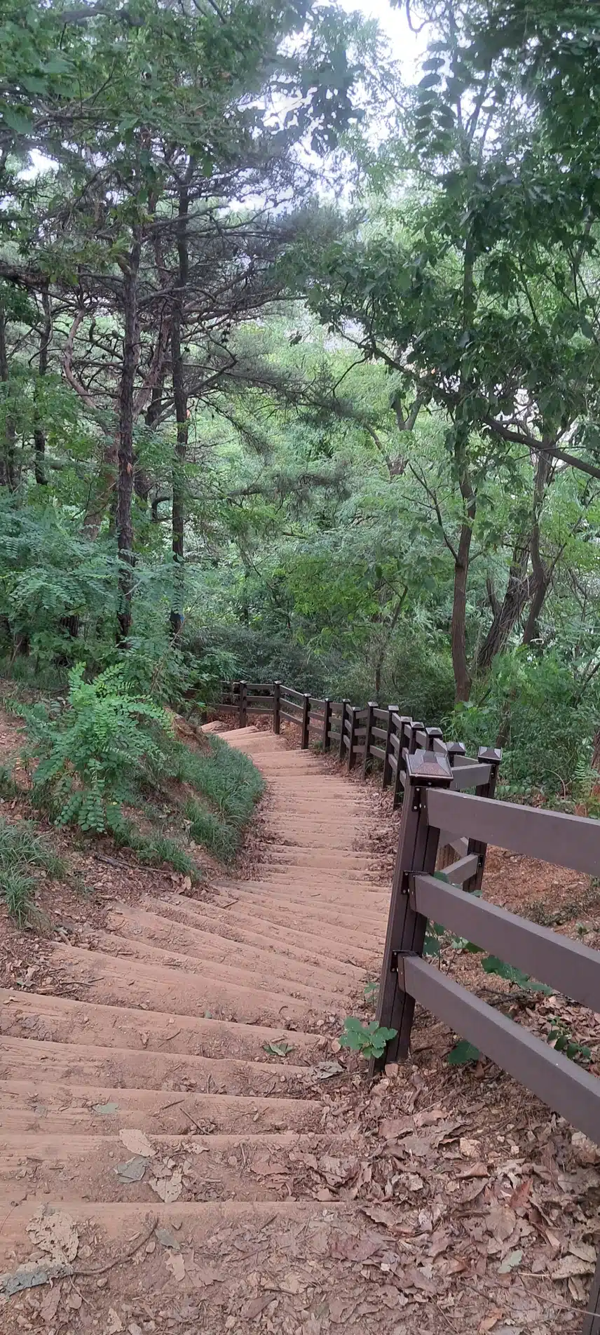 땀방울