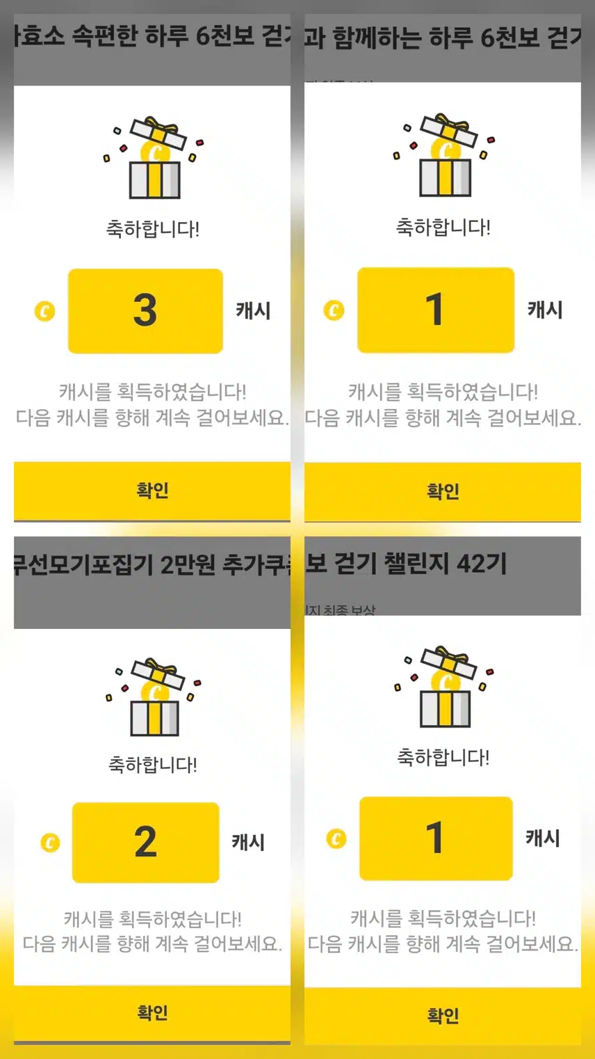 팀워크 하루 걷가 챌린지 인증 캐시