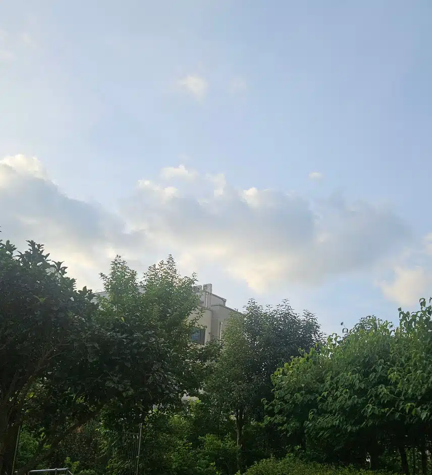 저녁식사 후 산책으로 🏃