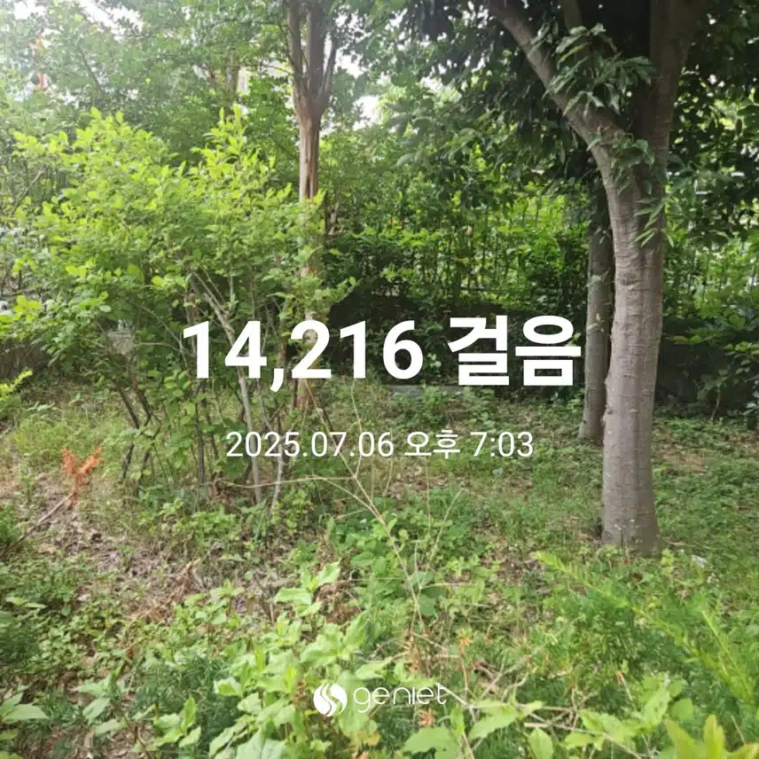 저녁식사 후 산책으로 🏃