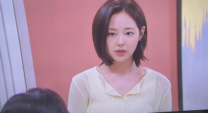 정말 진지하게 이혼을 진행하는 장미애네여