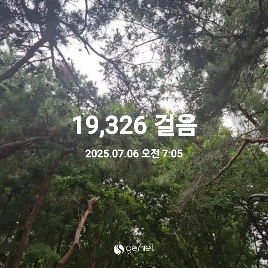 7월 6일 일요일 걷기 