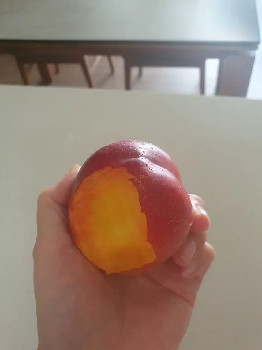 천도신비복숭아~♤