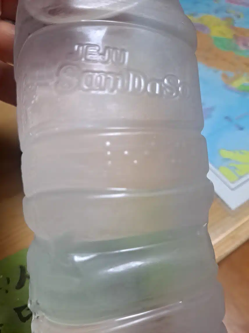 인증샷 