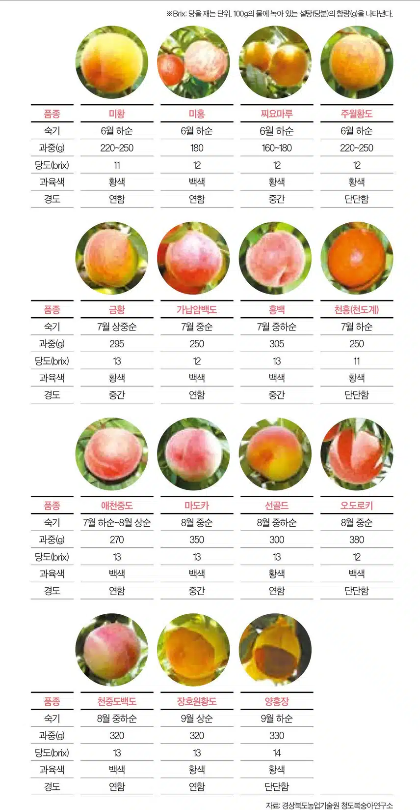 복숭아 품종별 맛있는 시기 달력