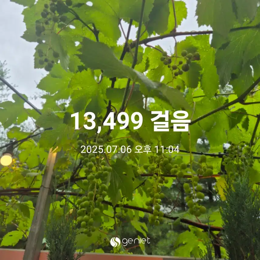 오늘걸음~
