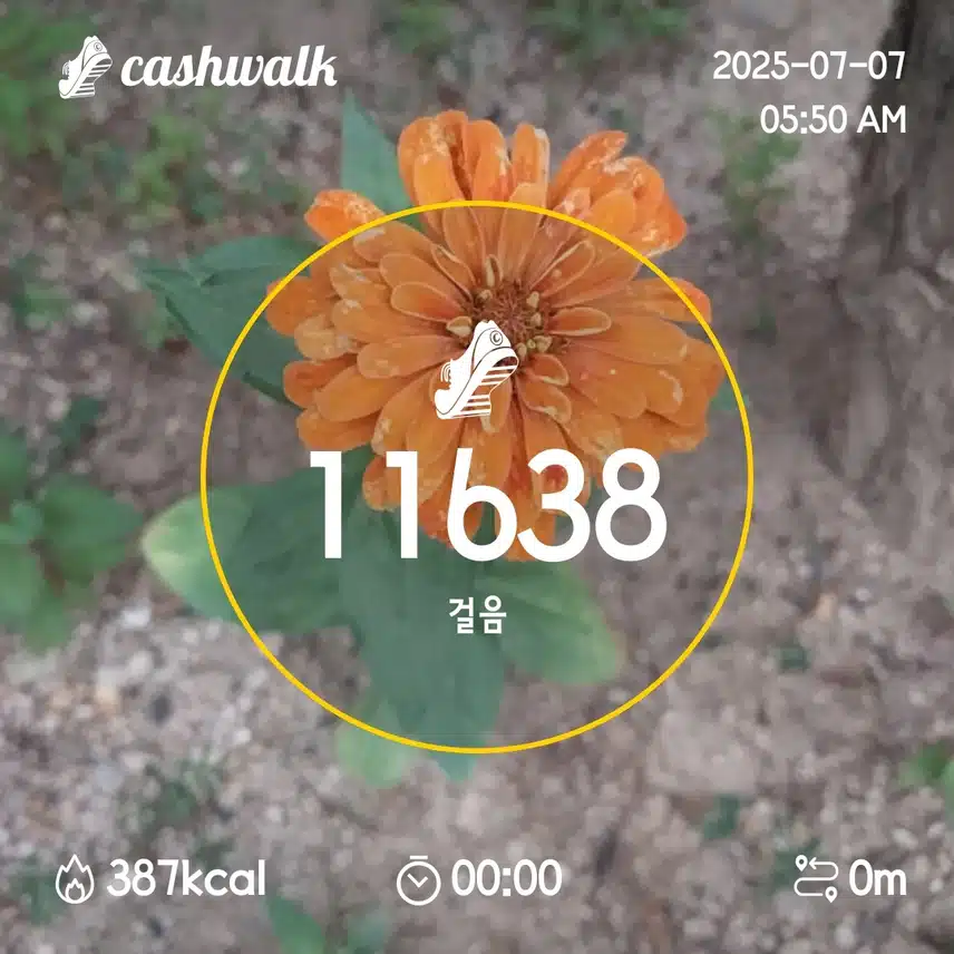 1일차 