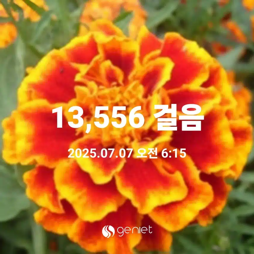   오늘도 만보걷기 새벽운동 
