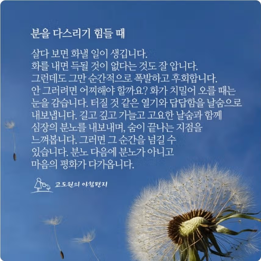 마음 챙기기