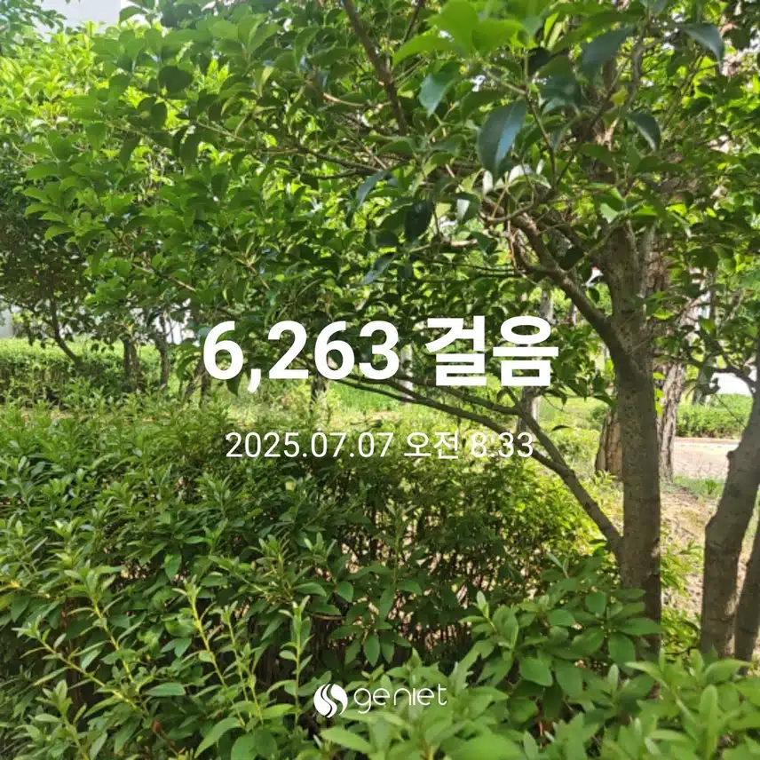 아침 산책으로 🏃