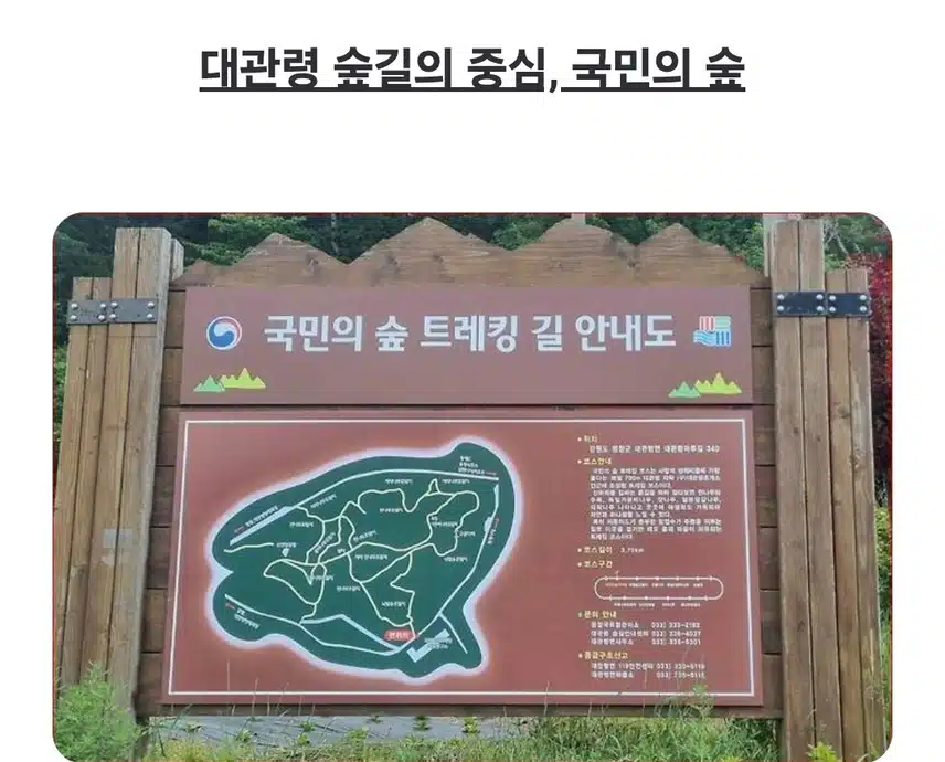 국가숲길 지정된 숨은명소 트레킹 장소 