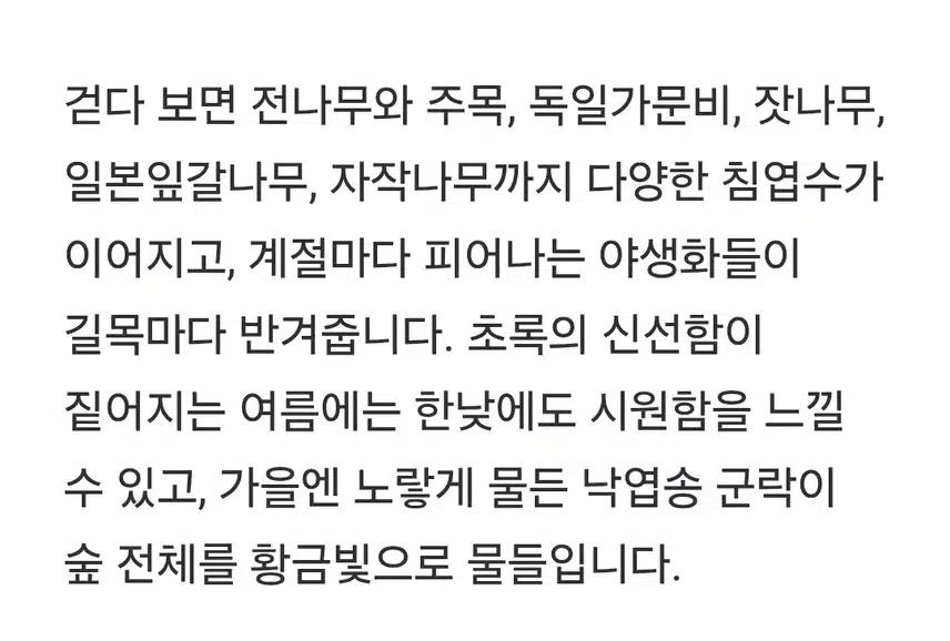 국가숲길 지정된 숨은명소 트레킹 장소 