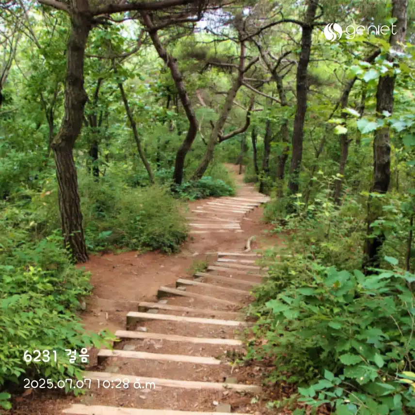 아침 산책하며🏃‍♀️