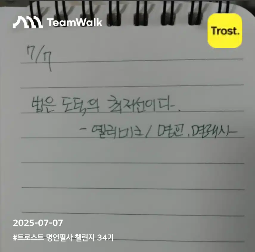 14일차