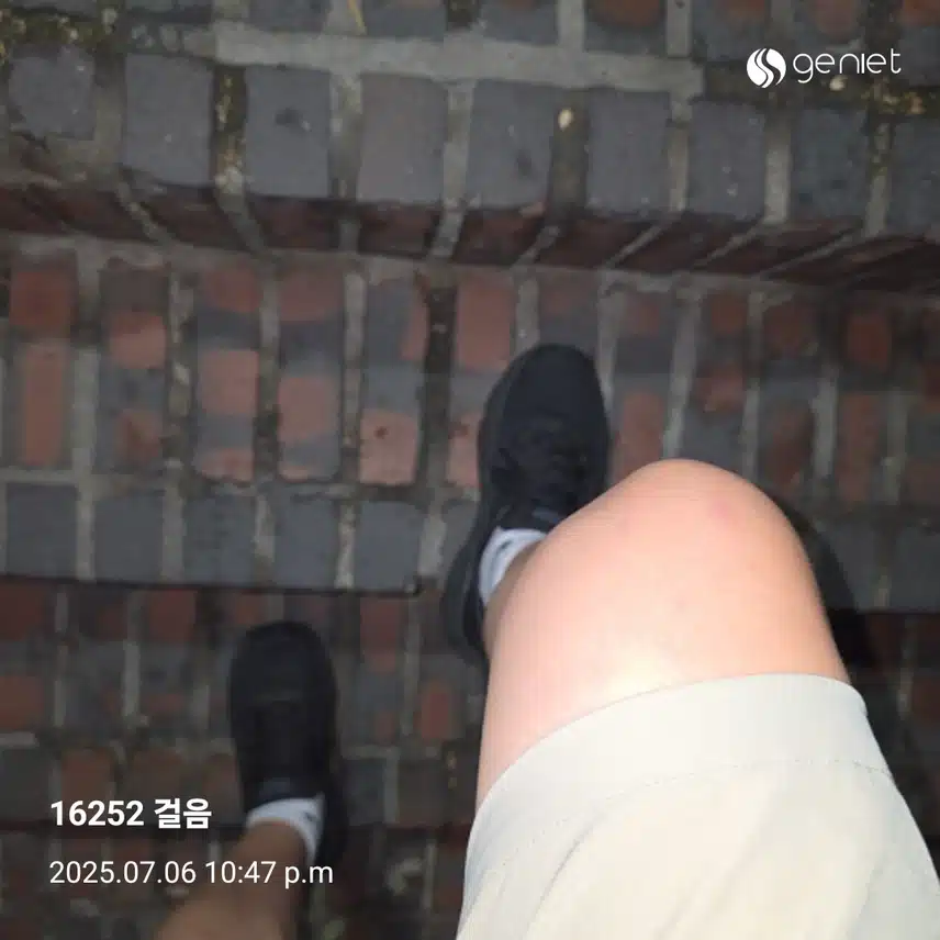 일요일 마무리 