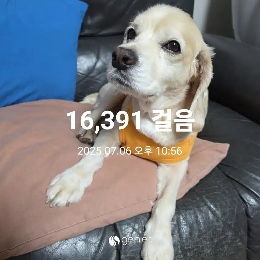 일요일 마무리 
