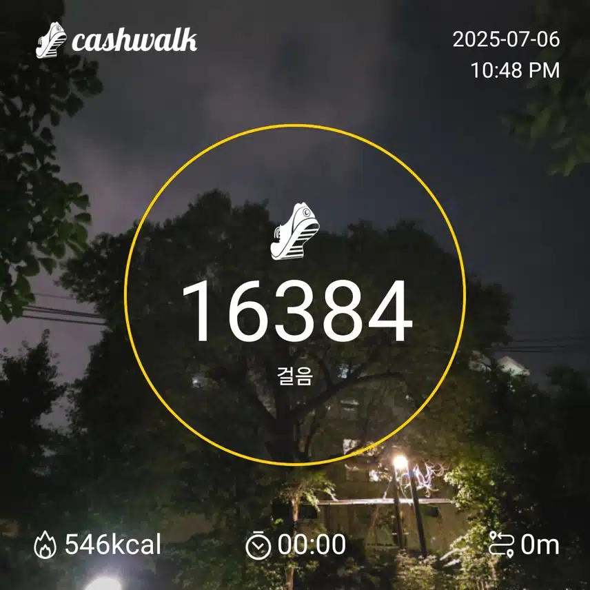 일요일 마무리 