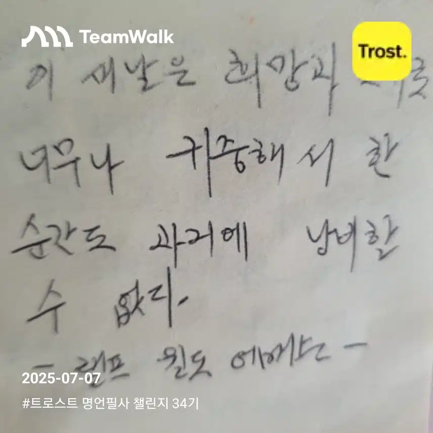 14일차인증 