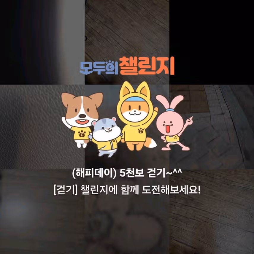 하루 5천보 
