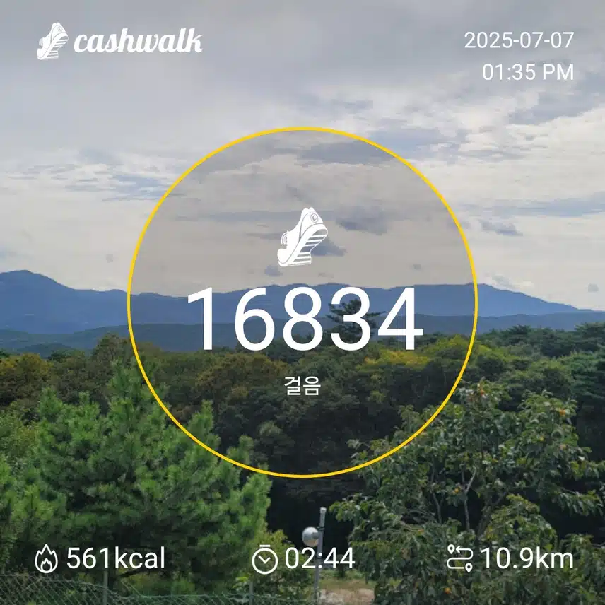 인증 