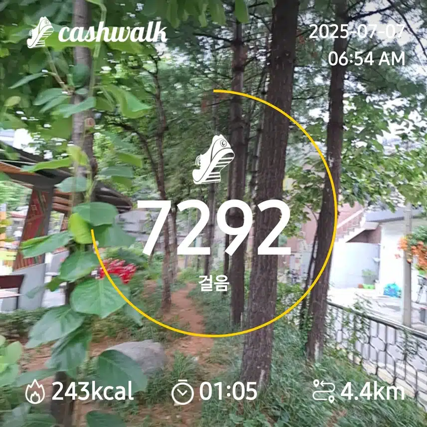 6000보 걷기