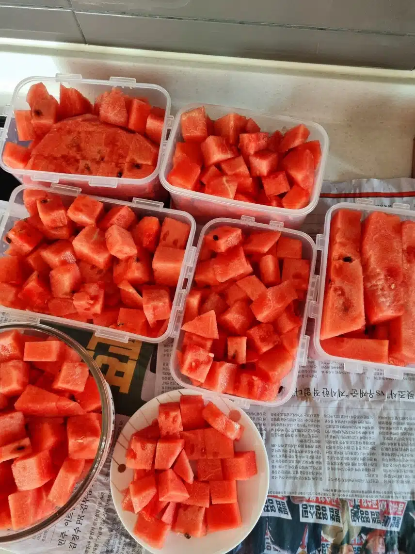 🍉날씨가 더워서 수박드시라고요🍉