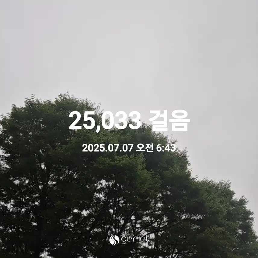 2025년 7월 7일 월요일 